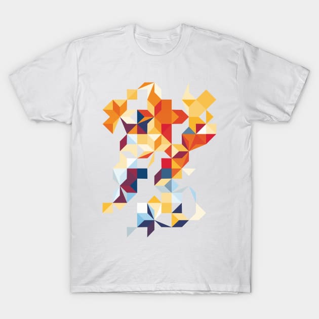 Segments T-Shirt by Aeoll